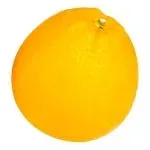 Laranja Bahia Importada Cada